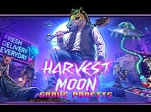 Harvest Moon Grave Profits