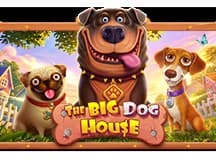 The Big Dog House