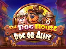 The Dog House Dog Or Alive