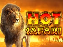 Hot Safari
