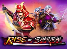 Rise Of Samurai
