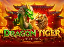 Dragon Tiger Fortunes