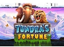 Tundras Fortune
